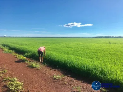 Terreno / Lote / Condomínio à venda, 1500m² no Setor Central, Lagoa da Confusão