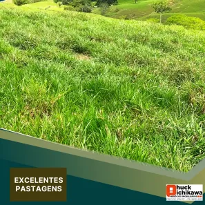 Fazenda / Sítio / Chácara com 3 Quartos à venda, 500000m² no Centro, Nossa Senhora das Dores
