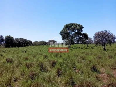 Fazenda / Sítio / Chácara à venda, 500m² no , Pium