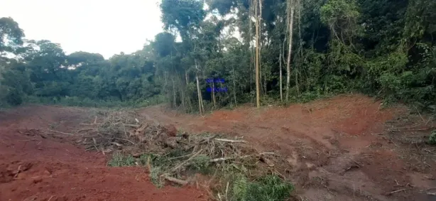 Fazenda / Sítio / Chácara com 1 Quarto à venda, 7000m² no Contenda, Contenda