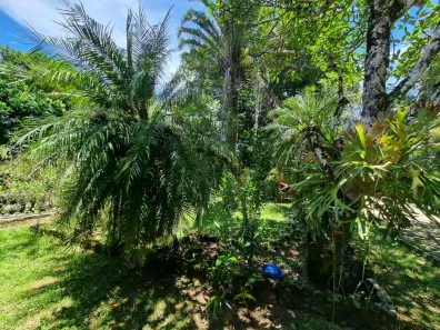Fazenda / Sítio / Chácara com 3 Quartos à venda, 13500m² no Loteamento Colina do Conde, Cachoeiras de Macacu