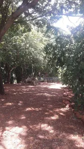 Fazenda / Sítio / Chácara com 6 Quartos à venda, 250m² no Centro, Alvorada do Sul