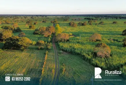 Fazenda / Sítio / Chácara à venda, 902m² no , Pium
