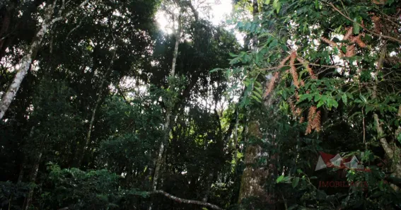 Fazenda / Sítio / Chácara à venda, 20600m² no Área Rural de Fazenda Rio Grande, Fazenda Rio Grande