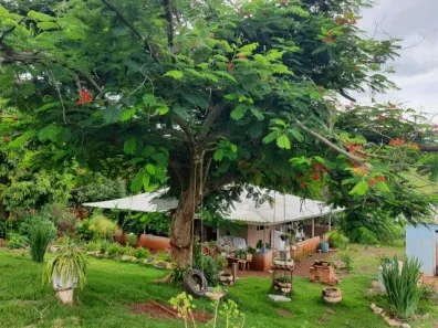 Fazenda / Sítio / Chácara com 3 Quartos à venda, 30000m² no Rural, Assaí