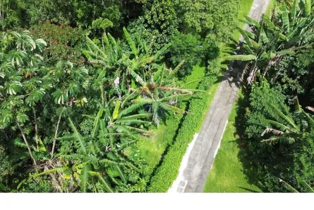 Terreno / Lote / Condomínio à venda, 1153m² no Castelanea, Petrópolis