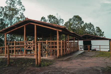 Fazenda / Sítio / Chácara à venda, 350000m² no Centro, Chã Grande