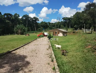 Fazenda / Sítio / Chácara com 2 Quartos à venda, 120m² no Campestre da Faxina, São José dos Pinhais