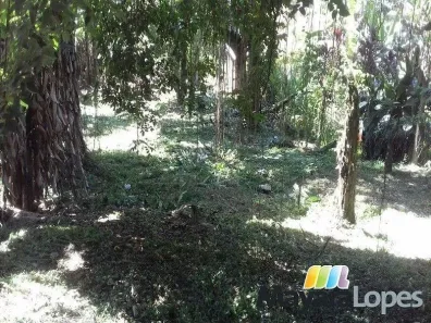 Terreno / Lote / Condomínio à venda, 990m² no Rocio Pequeno, São Francisco do Sul