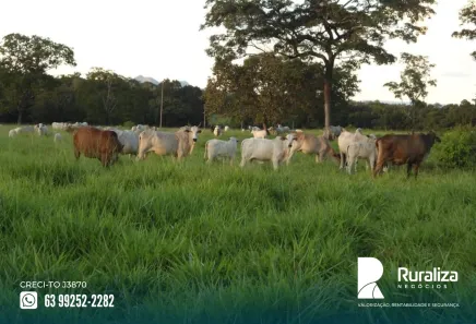 Fazenda / Sítio / Chácara à venda, 150m² no , Paraíso do Tocantins