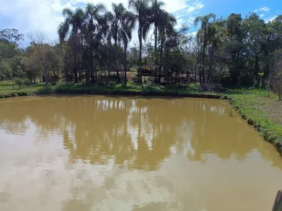 Fazenda / Sítio / Chácara com 2 Quartos à venda, 2500m² no Contenda, Contenda