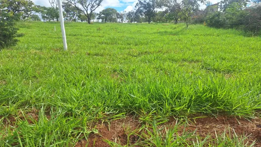 Terreno / Lote / Condomínio à venda, 370m² no Felipe Cláudio de Sales, Pedro Leopoldo