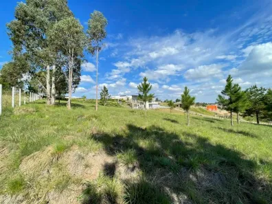 Terreno / Lote / Condomínio à venda, 3786m² no Loteamento Bosque Merhy, Quatro Barras