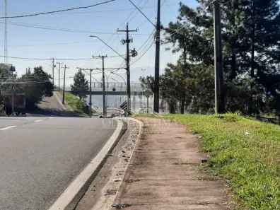 Galpão / Depósito / Armazém para alugar, 160m² no Jardim Paulista, Campina Grande do Sul