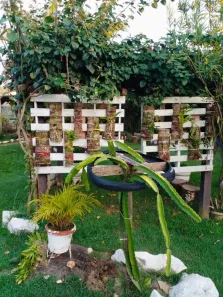 Fazenda / Sítio / Chácara com 2 Quartos à venda, 70m² no Área Rural de Sumaré, Sumaré