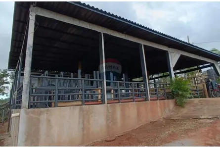 Loja / Salão / Ponto Comercial com 2 Quartos à venda, 5000m² no Vila Bretas, Governador Valadares