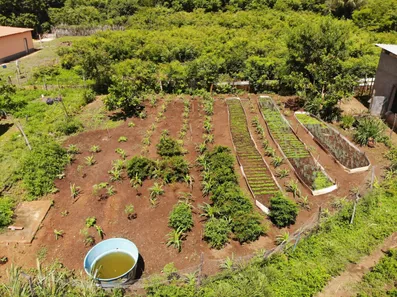 Fazenda / Sítio / Chácara com 3 Quartos à venda, 124000000m² no Centro, Campo Maior