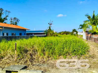 Terreno / Lote / Condomínio à venda, 490m² no Praia do Ervino, São Francisco do Sul
