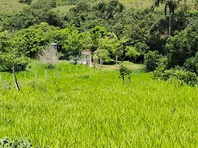 Fazenda / Sítio / Chácara com 3 Quartos à venda, 200000m² no Área Rural de Formosa, Formosa