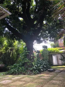 Sobrado com 6 Quartos à venda, 325m² no Santo Amaro, Recife