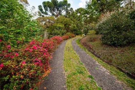 Casa de Condomínio com 7 Quartos à venda, 400m² no Jardim Embaixador, Campos do Jordão