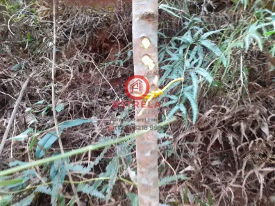 Terreno / Lote / Condomínio à venda, 1510m² no , Santa Branca