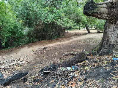 Terreno / Lote / Condomínio à venda, 37430m² no Quingoma, Lauro de Freitas