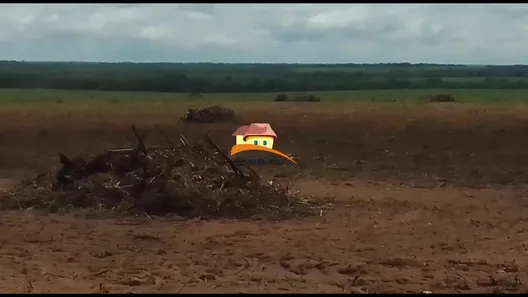 Fazenda / Sítio / Chácara à venda, 1m² no , Guaraí