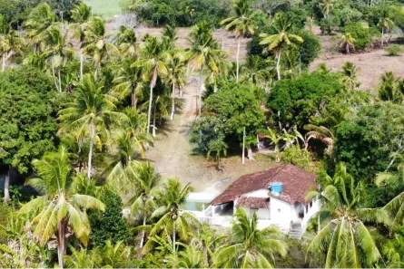 Fazenda / Sítio / Chácara com 2 Quartos à venda, 166999m² no Mituaçu, Conde