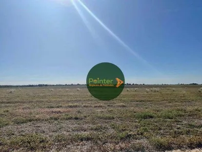 Fazenda / Sítio / Chácara à venda, 2740000m² no Área Rural de Gurupi, Gurupi