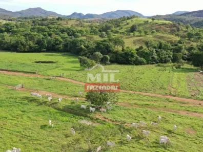 Fazenda / Sítio / Chácara à venda, 700000000m² no , Padre Bernardo