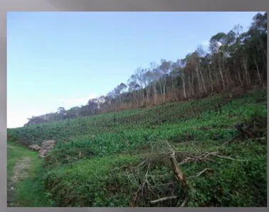 Fazenda / Sítio / Chácara à venda, 919600000m² no , Rio Branco do Sul