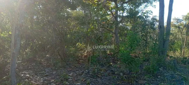 Fazenda / Sítio / Chácara à venda, 1190278m² no Jardim Brasilia I, Ponte Alta do Tocantins