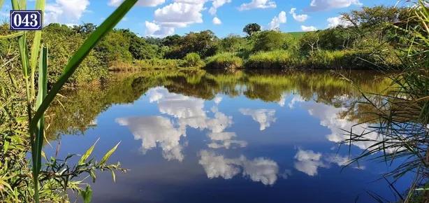 Terreno / Lote / Condomínio à venda, 208000m² no Rodovia, Sertanópolis