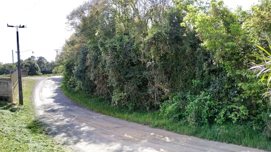 Terreno / Lote / Condomínio à venda, 96800m² no Rondinha, Campo Largo