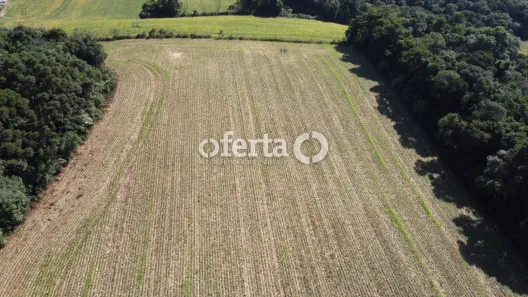 Fazenda / Sítio / Chácara à venda, 23600m² no Passaúna, Araucária