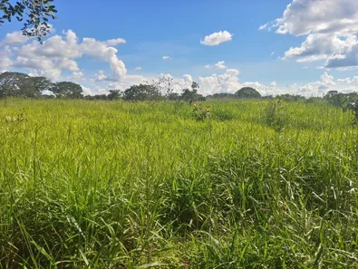 Fazenda / Sítio / Chácara à venda, 60000m² no Jardim Roriz, Brasília