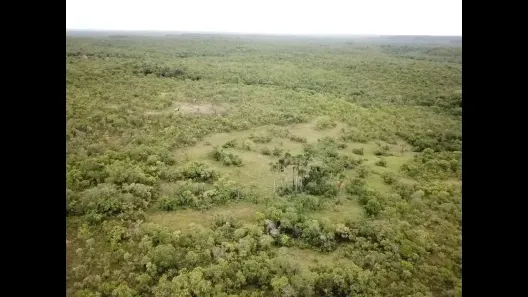 Fazenda / Sítio / Chácara à venda, 2613600m² no , Ponte Alta do Tocantins