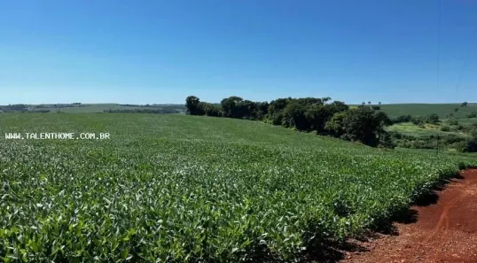 Terreno / Lote Comercial à venda, 192000m² no , Uraí