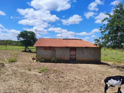 Fazenda / Sítio / Chácara com 2 Quartos à venda, 114m² no Gercino Coelho, Petrolina