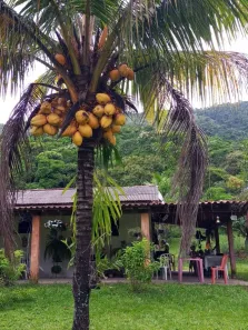 Fazenda / Sítio / Chácara com 3 Quartos à venda, 16945m² no Sampaio Correia (Sampaio Correia), Saquarema