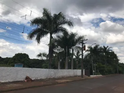 Fazenda / Sítio / Chácara com 4 Quartos à venda, 700m² no Chácaras Cambé Londrina, Cambé