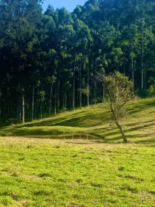 Terreno / Lote / Condomínio à venda, 1000m² no , Alumínio
