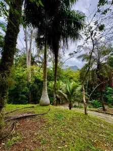 Fazenda / Sítio / Chácara com 3 Quartos à venda, 300m² no Jacarepaguá, Rio de Janeiro