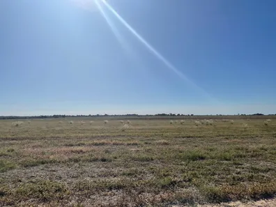 Fazenda / Sítio / Chácara com 5 Quartos à venda, 1326m² no , Formoso do Araguaia
