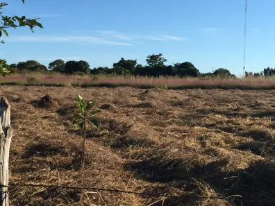 Fazenda / Sítio / Chácara à venda, 20000m² no Núcleo Rural Lago Oeste, Brasília