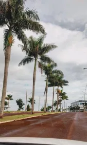 Terreno / Lote / Condomínio à venda, 320m² no Jardim Nova Floresta, Floresta