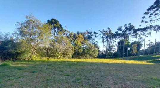 Terreno / Lote / Condomínio à venda, 1060m² no Rondinha, Campo Largo