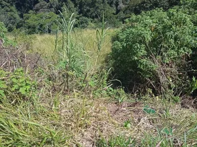 Terreno / Lote / Condomínio à venda, 574m² no Castelanea, Petrópolis