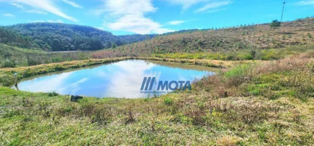 Fazenda / Sítio / Chácara com 3 Quartos à venda, 500m² no Borda do Campo, São José dos Pinhais